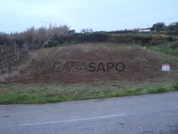 Terreno para comprar em Torres Vedras