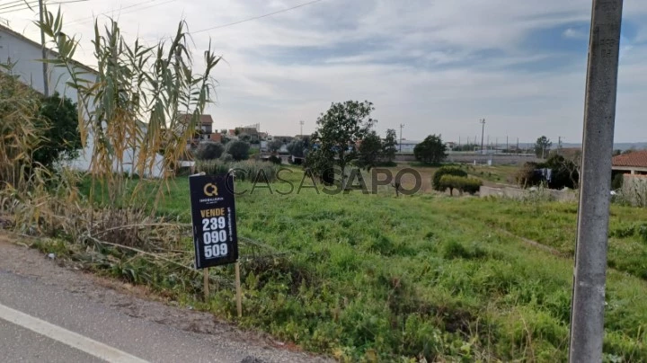 Terreno vende-se Arzila, Coimbra