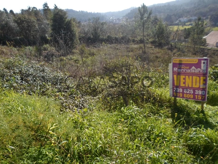 Terreno para comprar em Coimbra