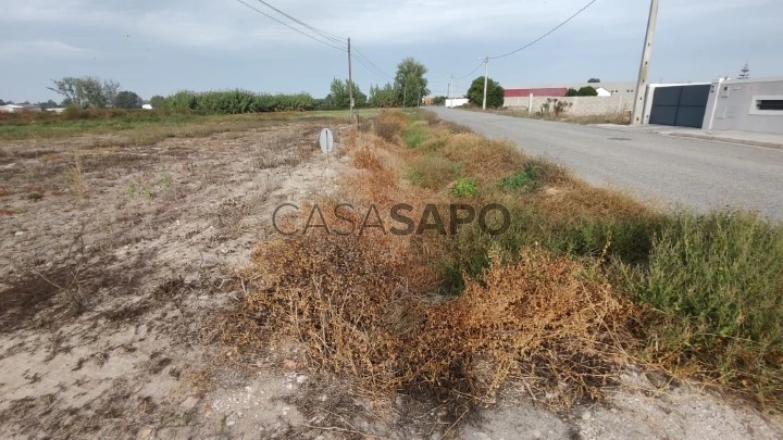 Terreno rustico para construção Salvaterra de Magos-Santarém