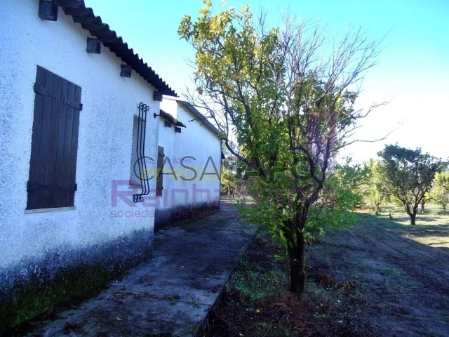 Agricultural property 5 Bedrooms +1 Sale 375.000 € in Cantanhede, Tocha ...