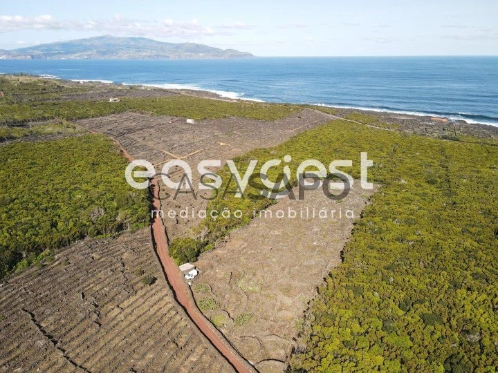 Terreno para comprar na Madalena