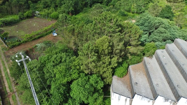 Terreno para comprar em Trofa