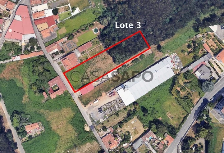 Lote 3