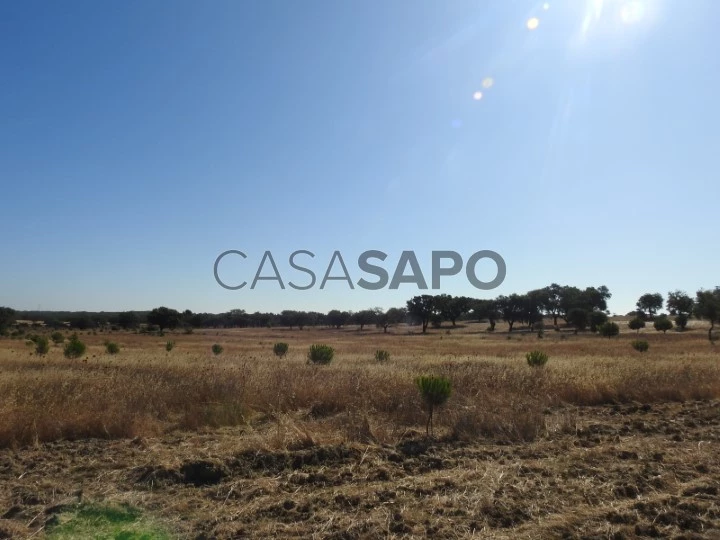 Terreno Rústico para comprar em Grândola