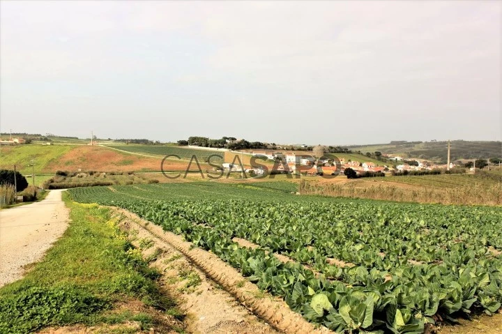 Terreno Urbano para comprar na Lourinhã