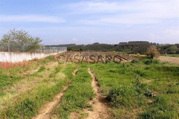 Terreno para comprar na Lourinhã