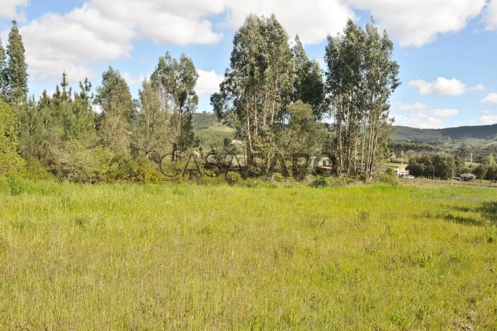 Terreno Rústico para comprar em Torres Vedras