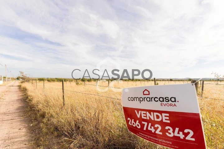 Terreno para comprar em Campo Maior