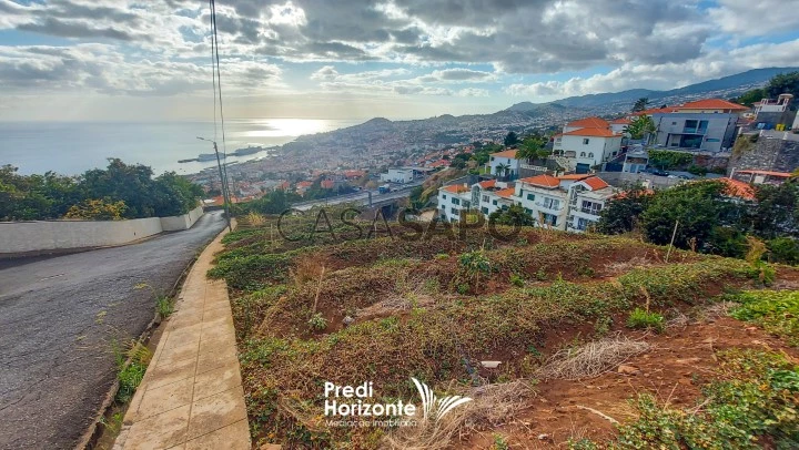 Terreno Rústico para comprar no Funchal