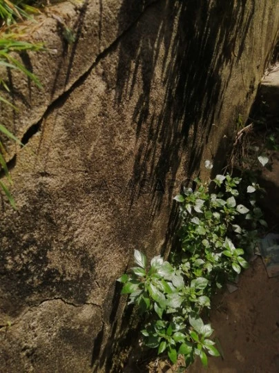 Terreno Urbano para comprar em Vila Nova de Gaia