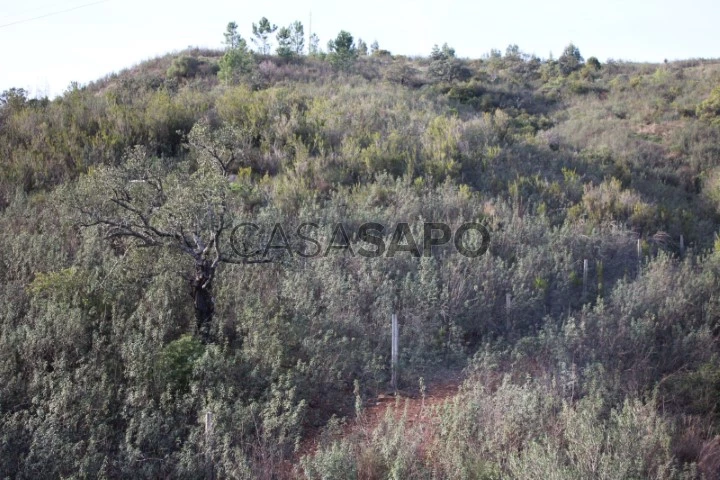 Terreno para comprar em Monchique