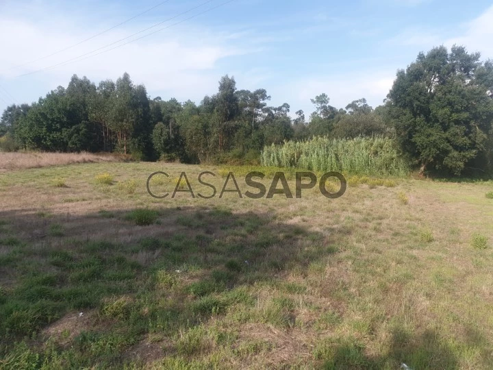 Terreno para comprar em Oliveira do Bairro