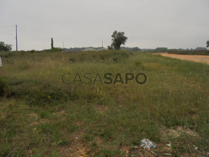 Terreno para comprar em Oliveira do Bairro