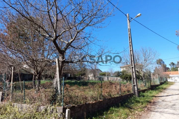 Terreno para comprar em Viseu