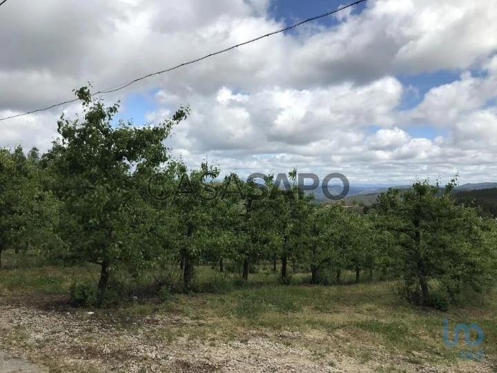 Lote para comprar em Ferreira do Zêzere