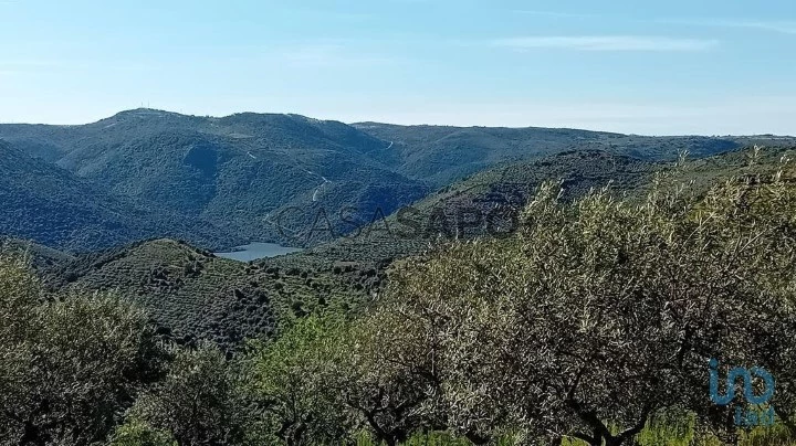 Lote para comprar em Freixo de Espada à Cinta