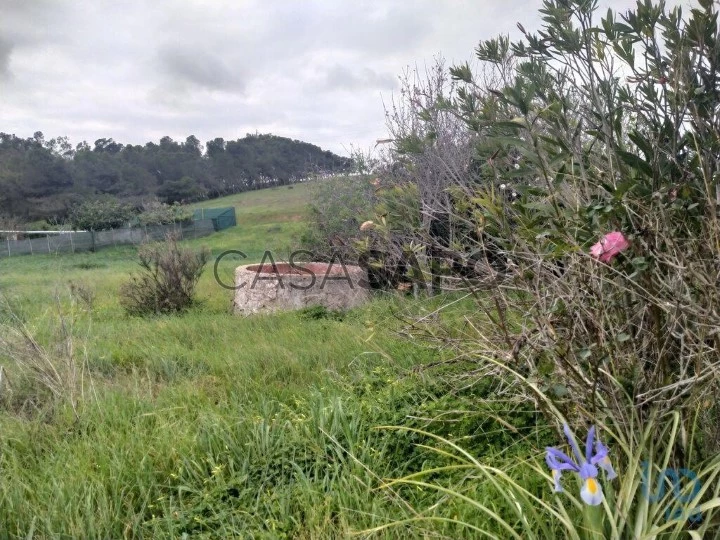 Lote para comprar em Vila do Bispo