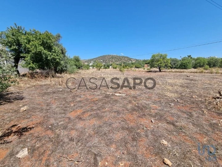 Lote para comprar em Loulé