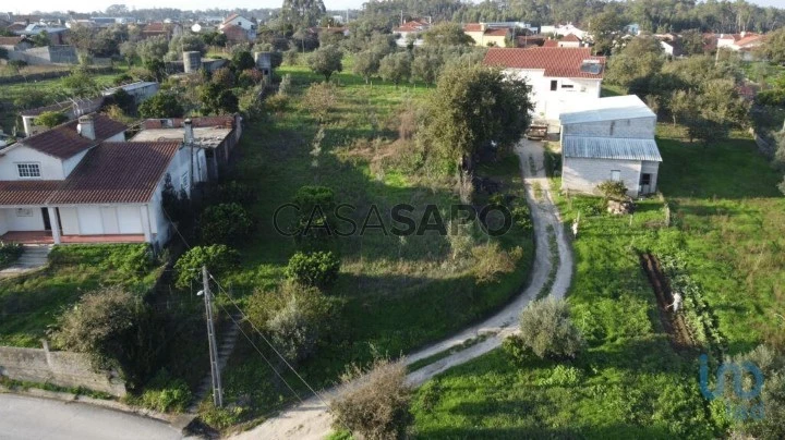 Lote para comprar em Pombal