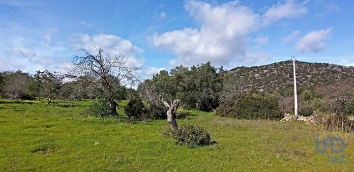 Lote para comprar em Olhão