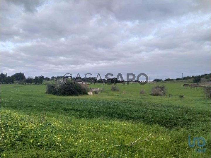 Lote para comprar em Vila do Bispo