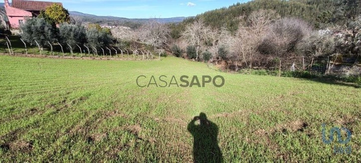 Lote para comprar em Figueiró dos Vinhos