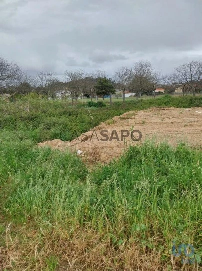 Lote para comprar em Santa Maria da Feira