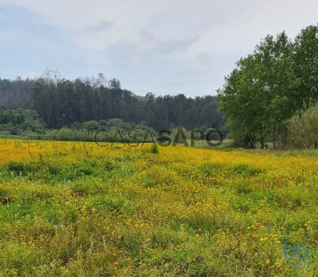 Lote para comprar em Leiria