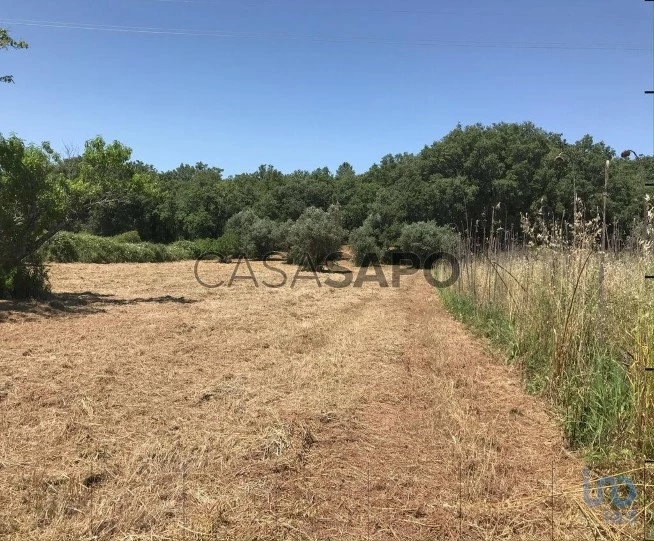 Lote para comprar em Ferreira do Zêzere