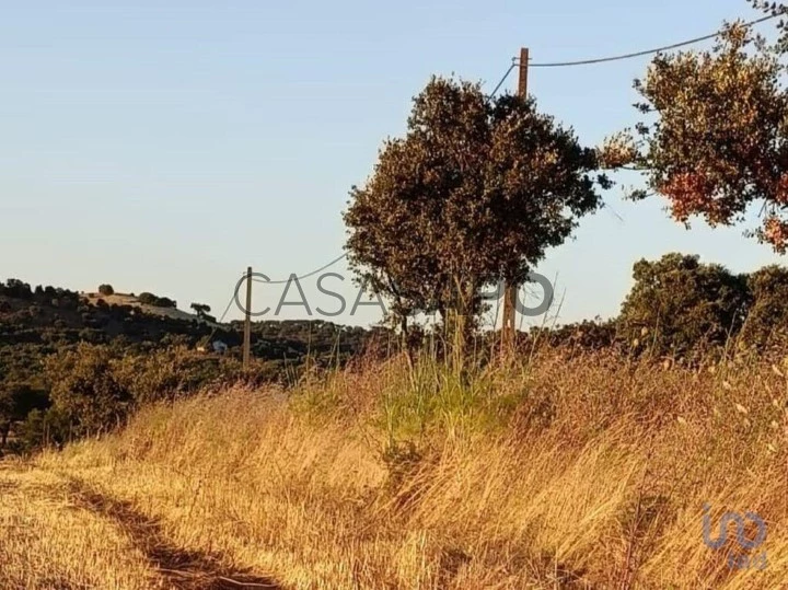 Lote para comprar em Viana do Alentejo