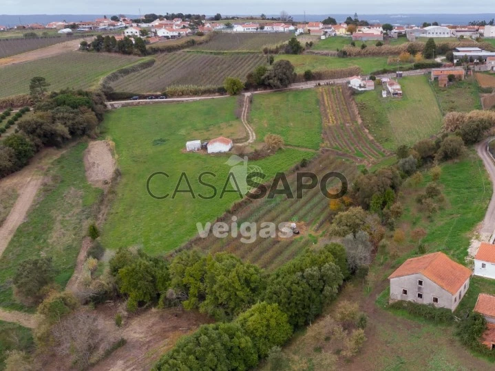 Terreno para comprar em Alcobaça