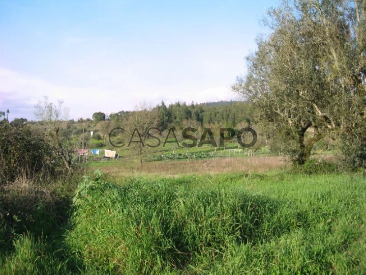 Terreno para comprar em Ferreira do Zêzere