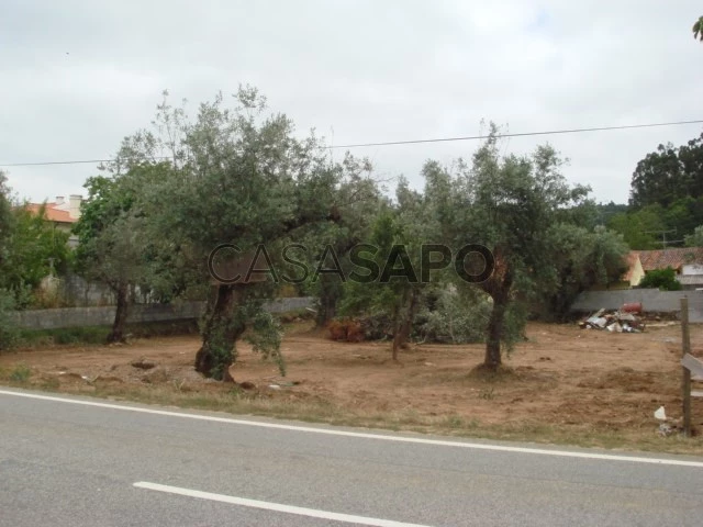 Terreno para comprar em Tomar