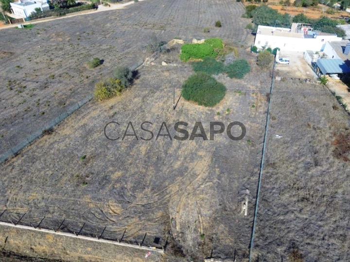 Terreno com ruína na Arroteia