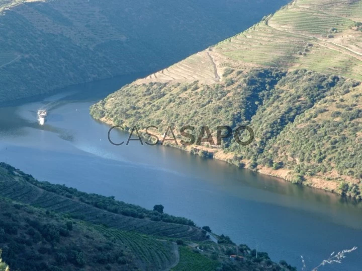 Terreno Rústico para comprar em Torre de Moncorvo