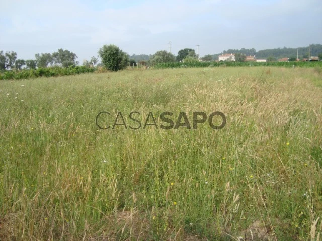 Terreno Rústico para comprar em Oliveira do Bairro