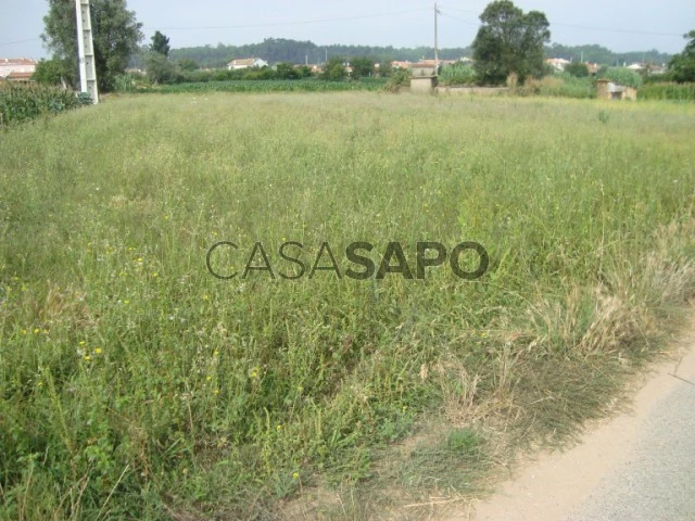 Terreno Rústico para comprar em Oliveira do Bairro