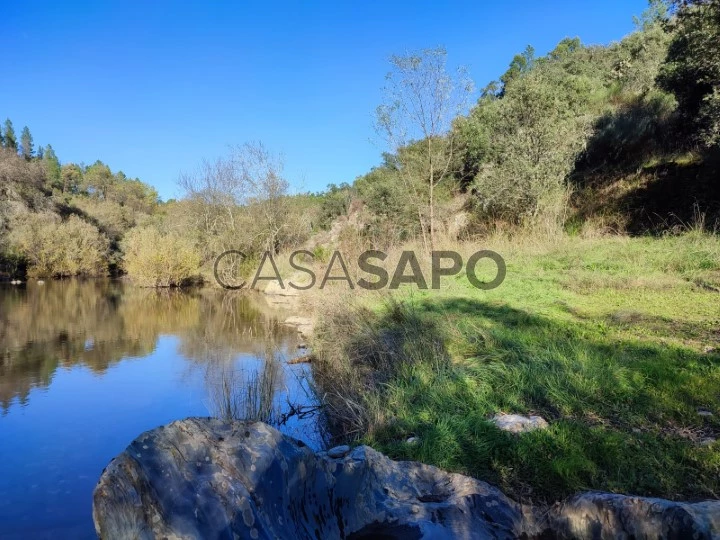 Terreno Rústico para comprar em Castelo Branco