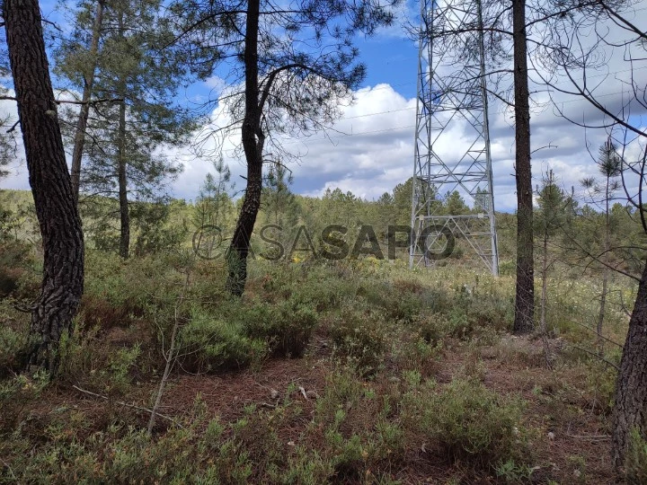 Terreno para comprar em Castelo Branco