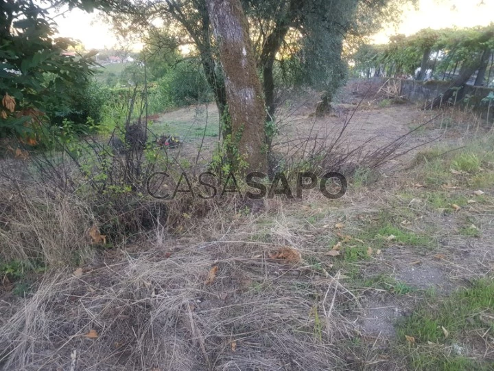 Terreno para comprar em Ponte da Barca