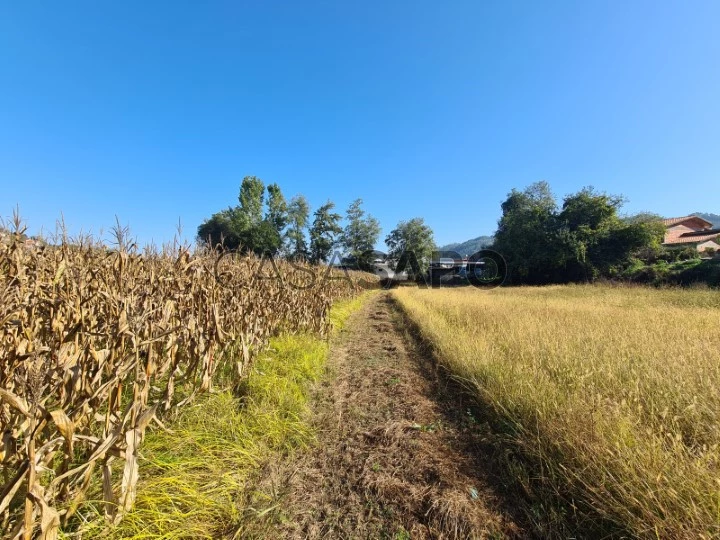 Terreno para comprar em Ponte da Barca