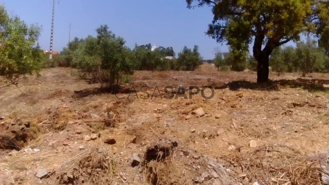 Terreno para comprar em Vila Nova da Barquinha