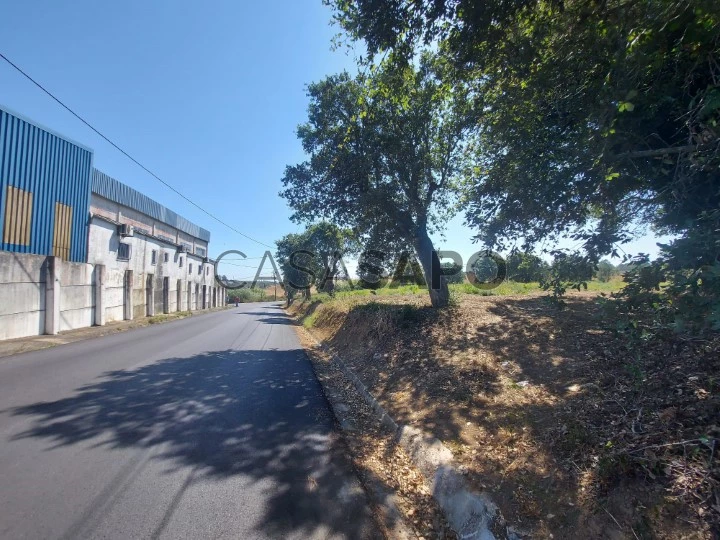 Terreno Industrial para comprar em Sintra