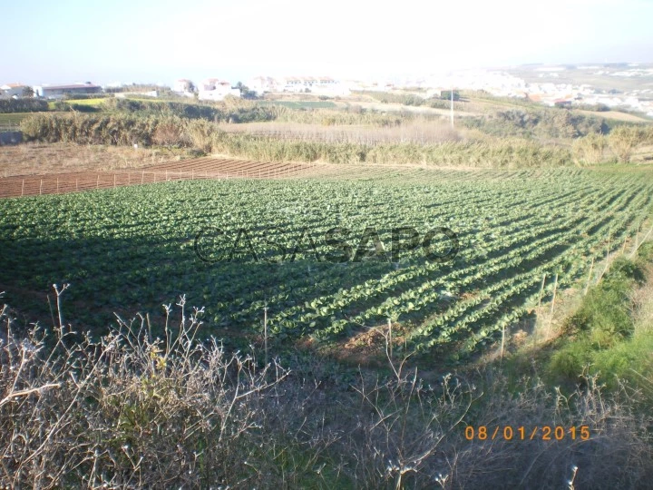 Terreno para comprar na Lourinhã