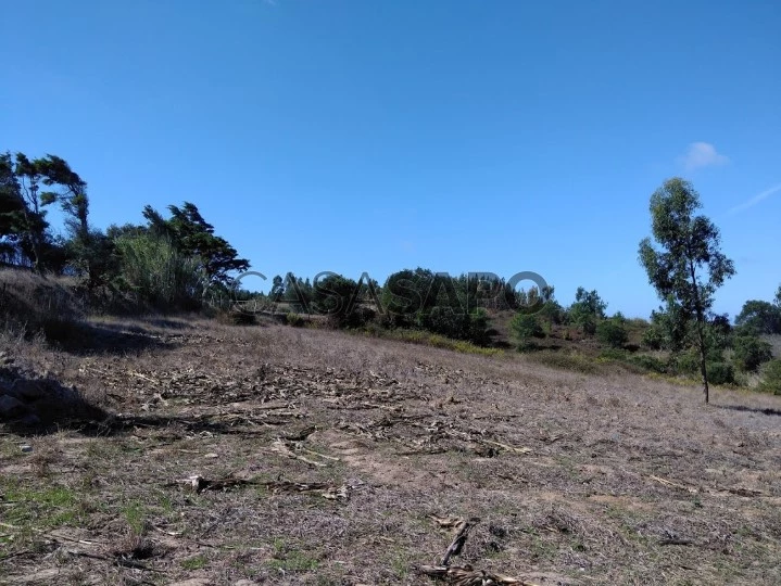 Terreno para comprar na Lourinhã