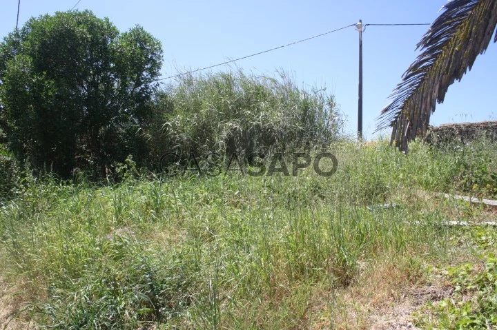 Terreno Urbano para comprar na Lourinhã