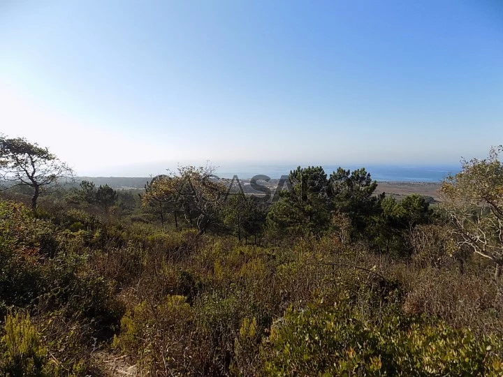 Terreno para comprar na Nazaré