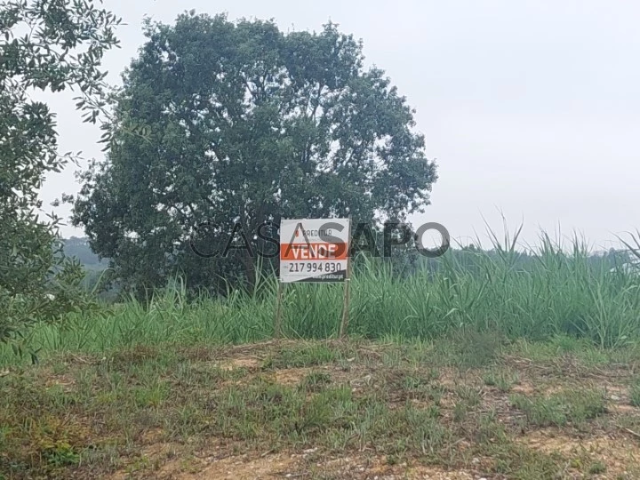 Terreno para comprar em Óbidos