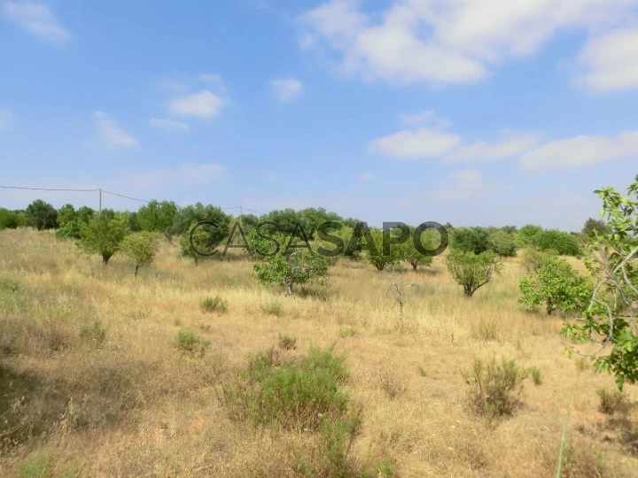 Terreno com projeto, Loulé